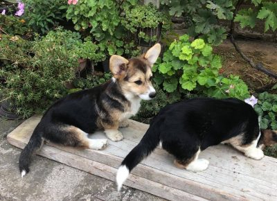 240694507914559322478874403735618409388312n1633507686