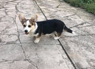 2407497188962581046437646411038839048903579n1633507685