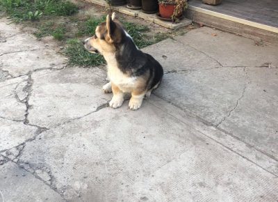 24091904223511585983487027237885625883114620n1633507685