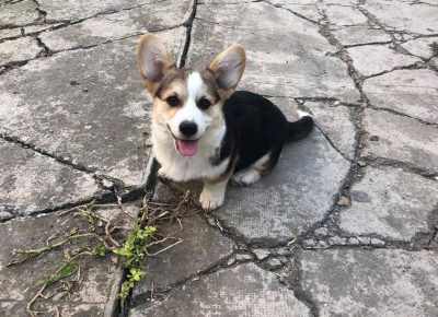 24130158814751803395275901883688088074265581n1633507686