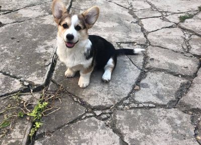 2413800792791187537109628193223800407467656n1633507685