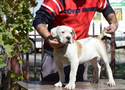 2437091365401790372823842356145749952348368n1633470238