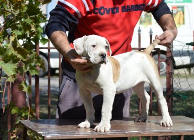 2437357295892243522695121944832563816859272n1633470237