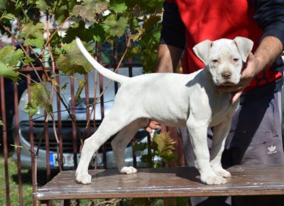 2439471172305562291162993793751909634243614n1633470238