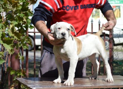 2440418744704589640071642955053348011426148n1633470236