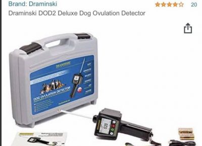 2456294795790282067623278262353827789137017n1634643717