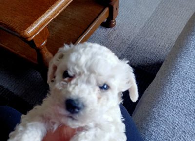 IMG202110011708251633554484