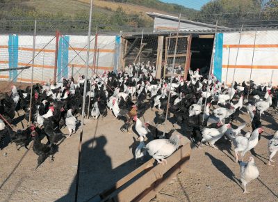 IMG202110030813101634593631