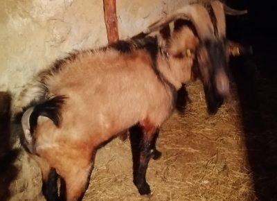 IMG202110101835411633884194