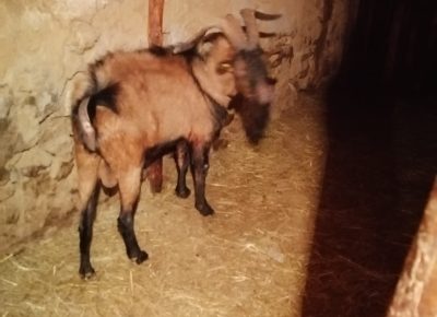 IMG202110101836381633884224