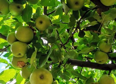 IMG6276ef7e43008671662827f9072fa832V1634388031