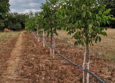 IMGa338c4ab2505575bcd872aff9f157078V1634388031