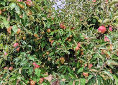 IMGb0e5a07d8ec80b3ba14d344e9e8455ebV1634388031