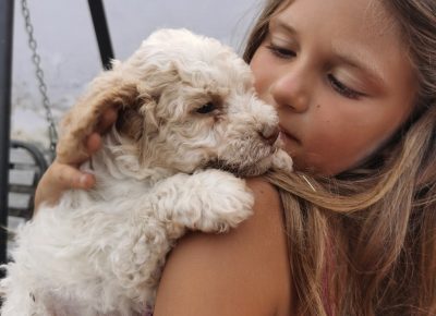 viberimage202110012027524941633173884