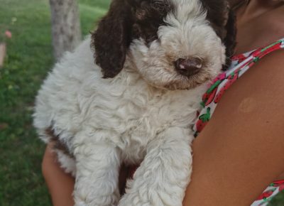 viberimage202110012027547001633173883