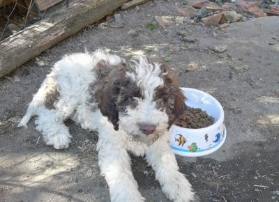 viberimage202110012028340851633173884