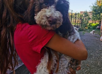 viberimage202110012030502301633173885