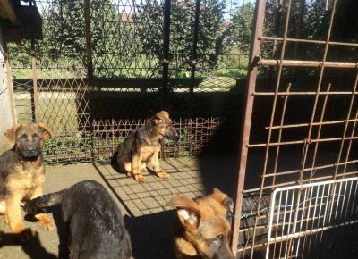 viberimage202110021101546231633192284