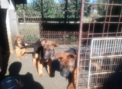 viberimage202110021101548631633192284