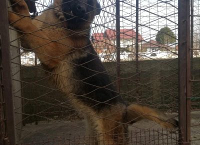 viberimage202110021101548671633192284