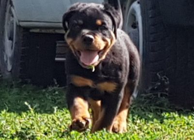 viberimage202110031604318481633354641