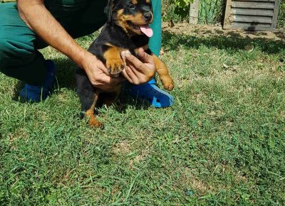 viberimage202110031604319801633354642