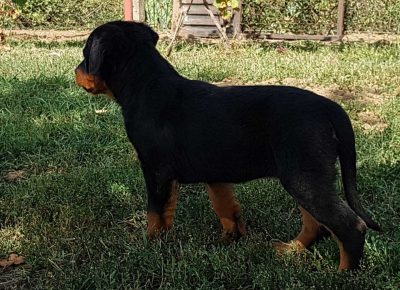 viberimage202110031604325791633354641