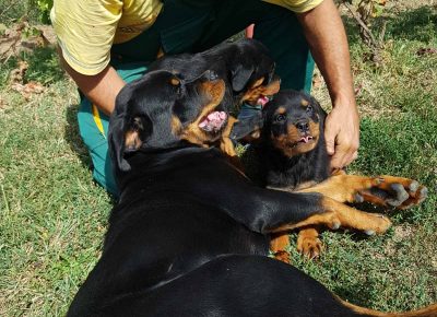 viberimage202110031604410311633354642