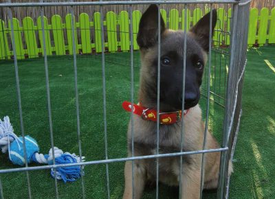 viberimage202110041905035881633472807