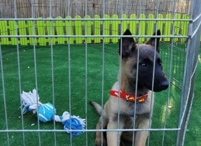 viberimage202110041905077071633472808