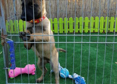 viberimage202110041905101461633472809