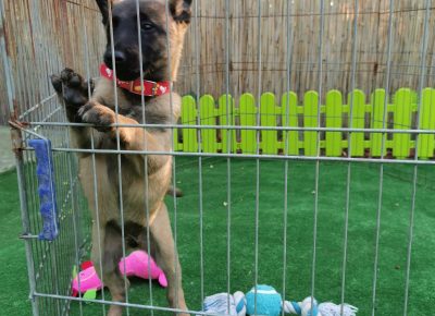 viberimage202110041905136311633472809