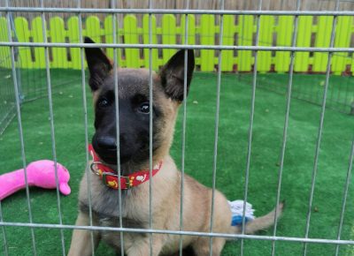 viberimage202110041905180331633472808