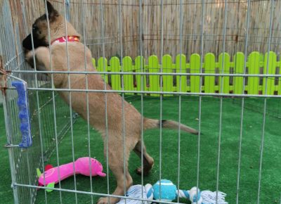 viberimage202110041905209431633472809