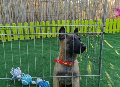 viberimage202110041905310891633472808