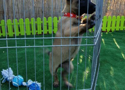 viberimage202110041905449811633472807