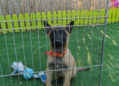 viberimage202110041905484201633472807