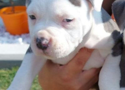 viberimage202110051449145481633527084