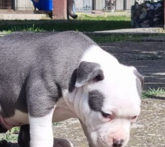 viberimage202110051449146501633527084