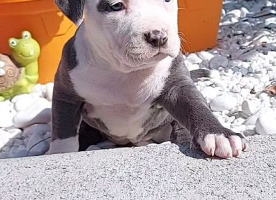 viberimage202110051449147751633527084