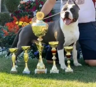 viberimage202110051451285671633527083