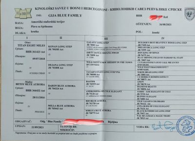 viberimage202110051454039201633527084