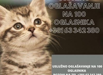 viberimage202110112338500411635084173