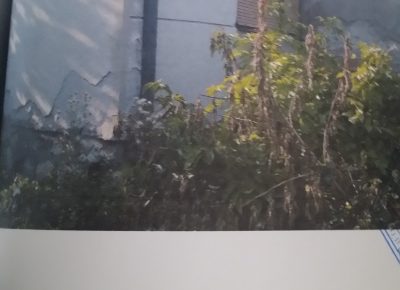 202111081528151637154259