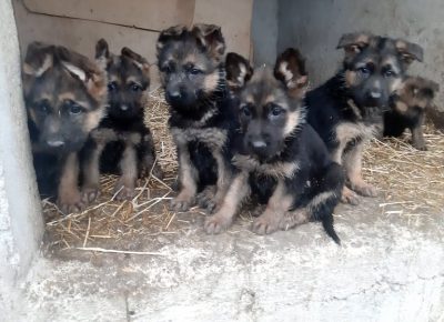 25953525010698988038294993358543308585767309n1637859838