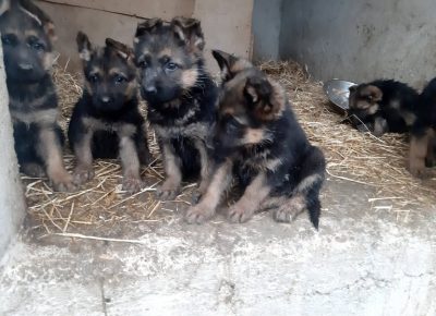 2596247614531582260262645453834625592129572n1637859838