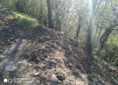 99F42C91A3834E2B932AB6015CE96EA31637430817