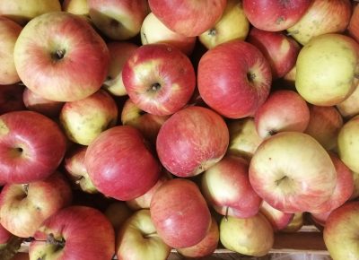 IMG202111201633321637588798