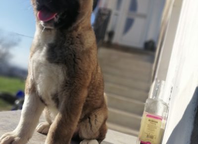 IMG202111211037031637947652