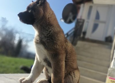 IMG202111211037151637947652